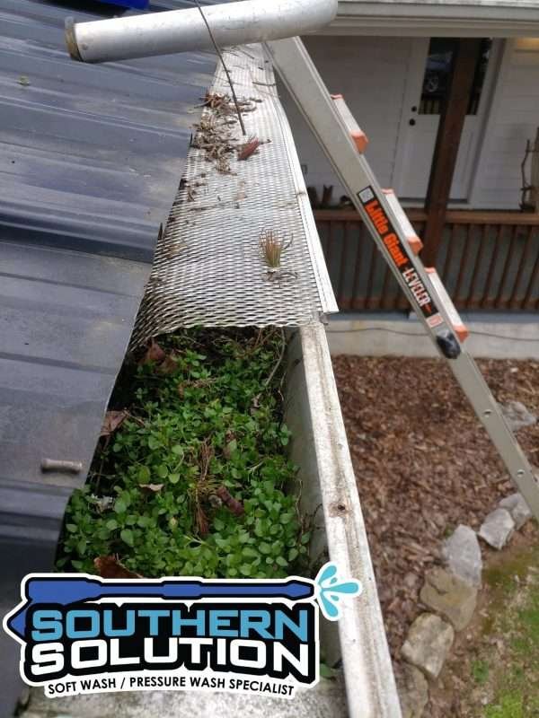 Gutter cleaning service