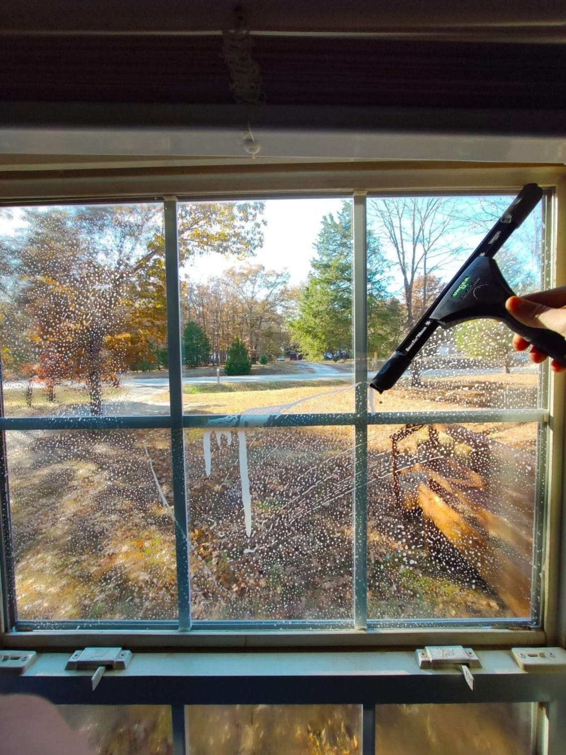 Professional Window Cleaning in Nashville, TN | Southern Solution 1 A professional technician cleaning the exterior windows of a commercial building.
