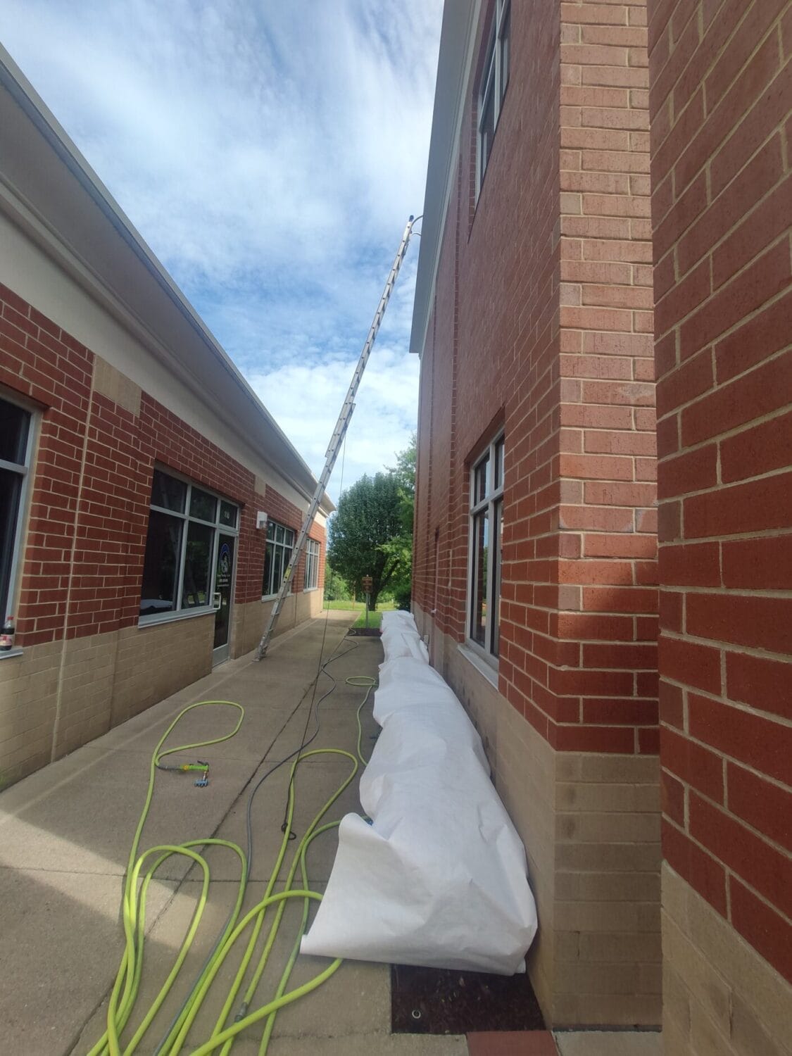 A professional pressure washer protecting delicate plants before a house wash.
