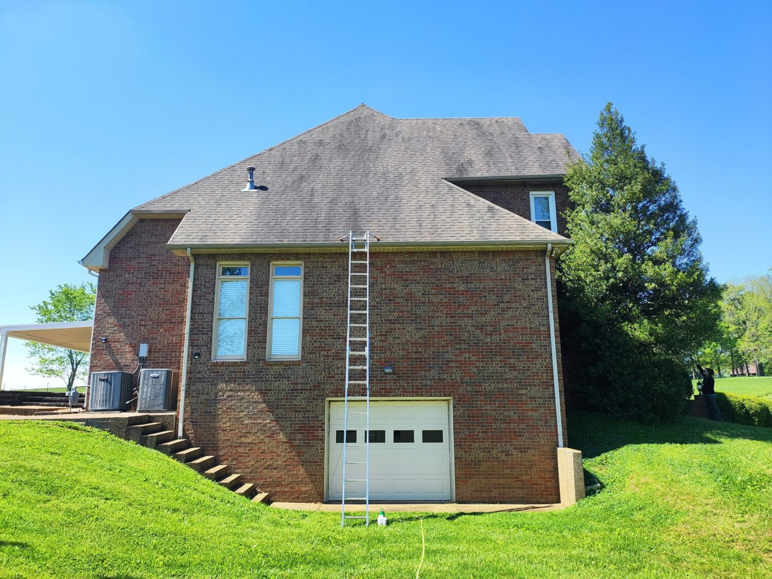 Shingle roof with black streaks before soft wash roof cleaning